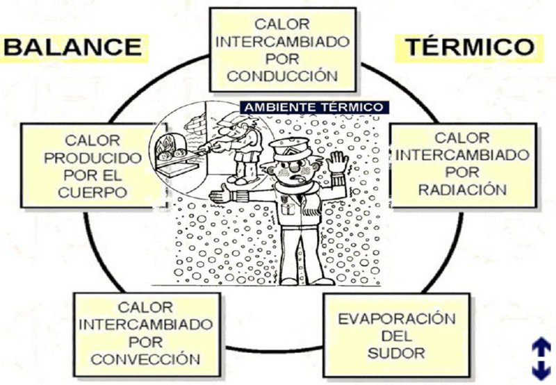 Diapositiva49