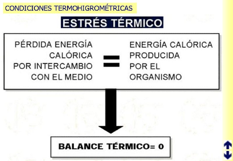 Diapositiva50