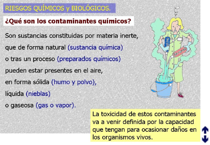 Diapositiva03