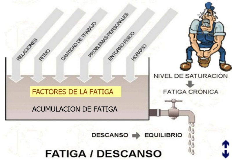 Diapositiva05