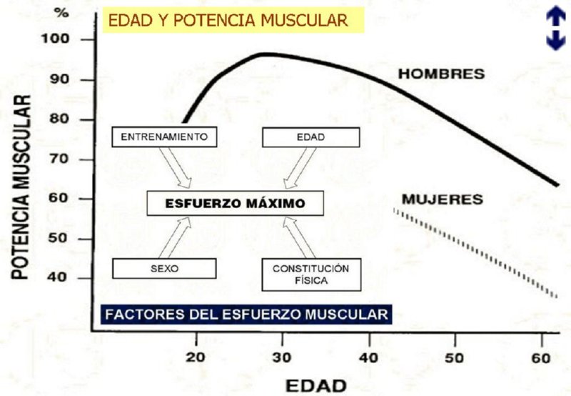 Diapositiva12