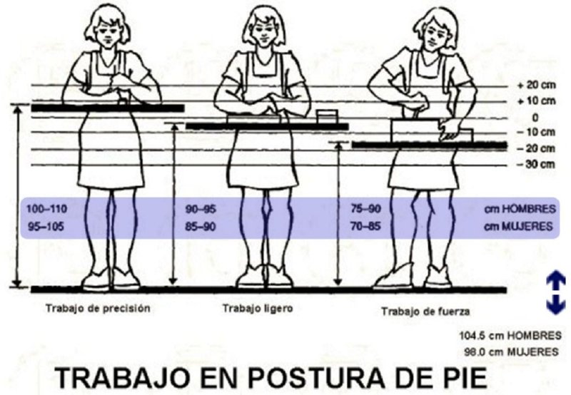 Diapositiva19