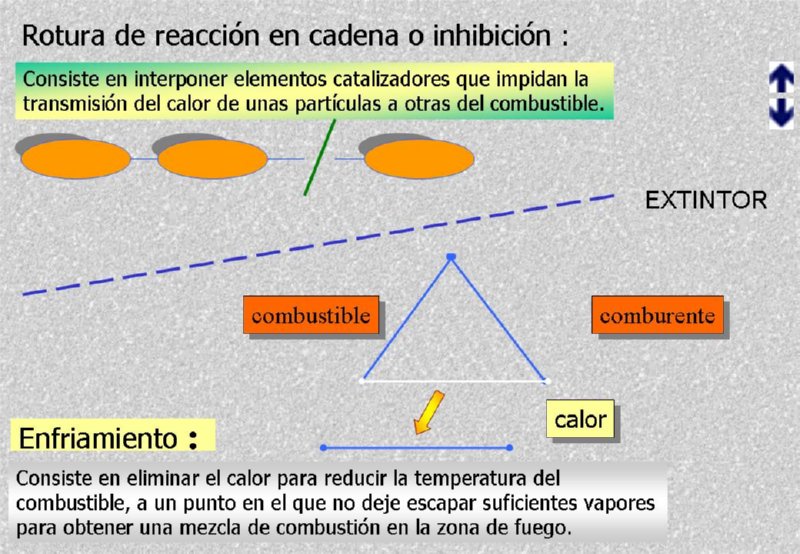 Diapositiva10