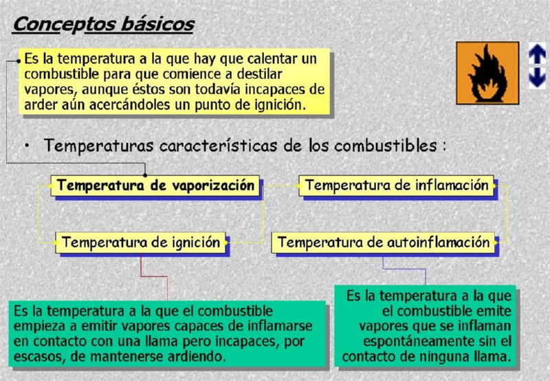 Diapositiva13