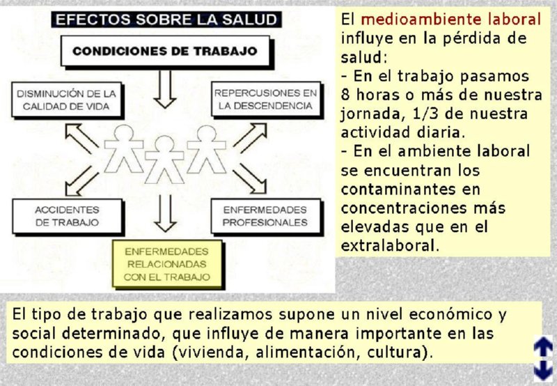 Diapositiva04