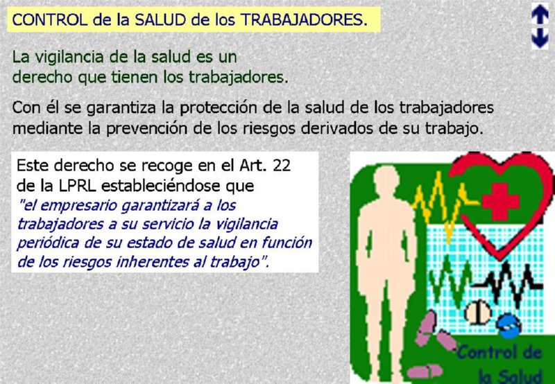 Diapositiva08