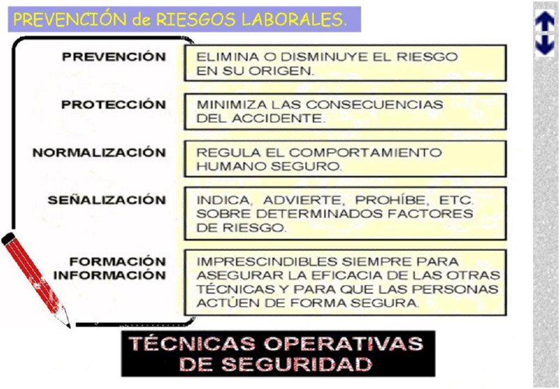 Diapositiva08