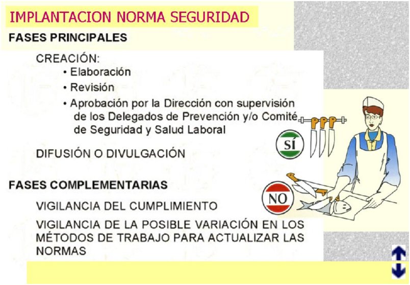 Diapositiva12