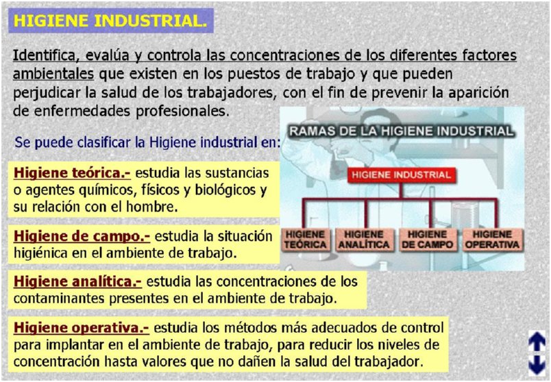 Diapositiva13