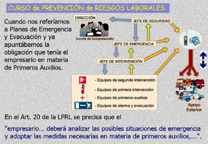 Diapositiva05