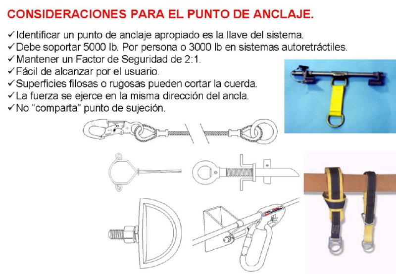 Diapositiva16