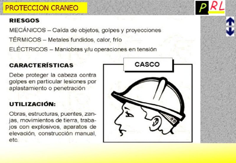 Diapositiva19