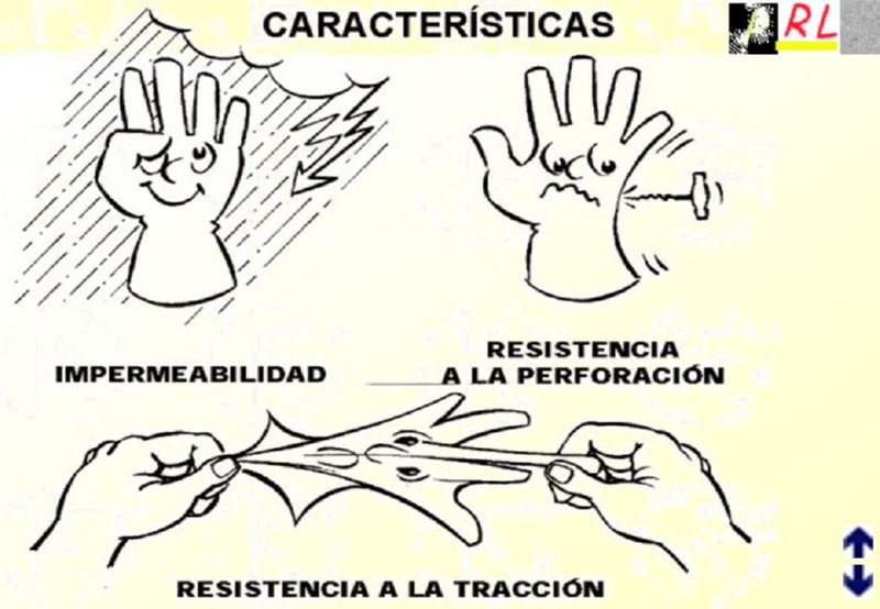 Diapositiva24