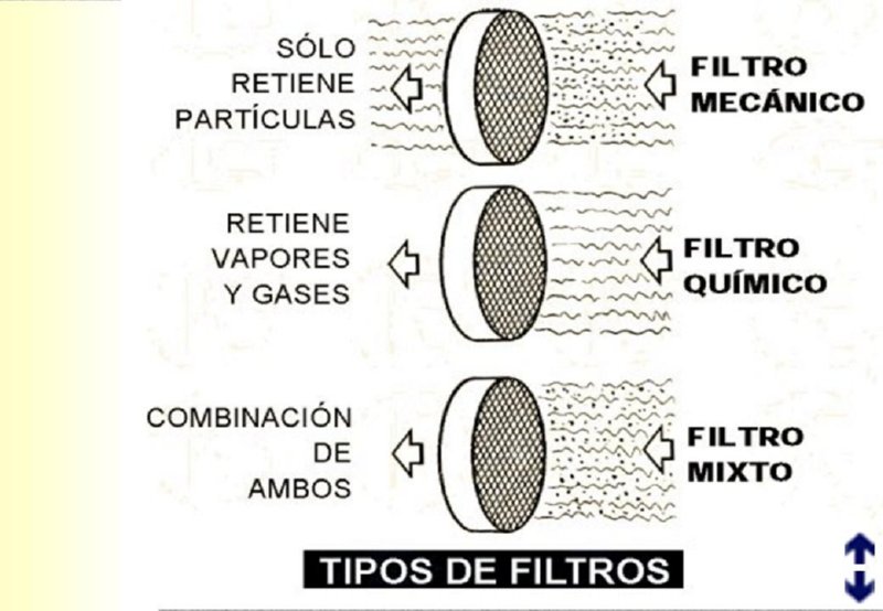 Diapositiva31