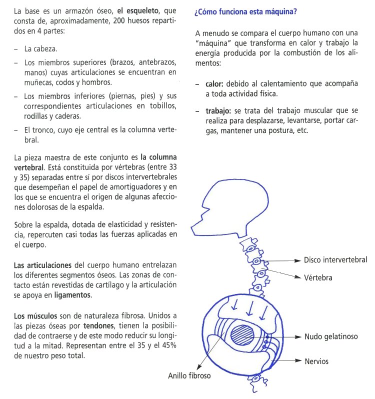F09 INSHT001_Page_10