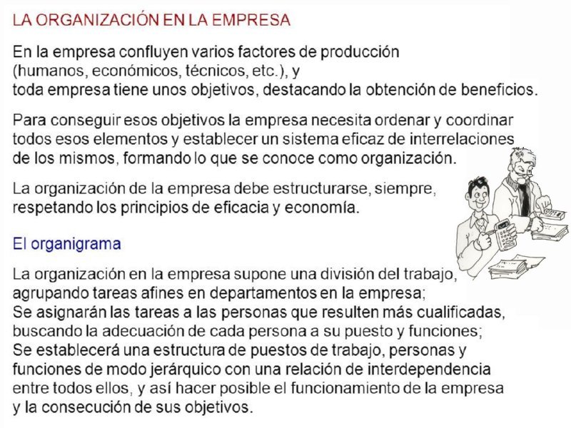 04 ORGANIZACION EMPRESA