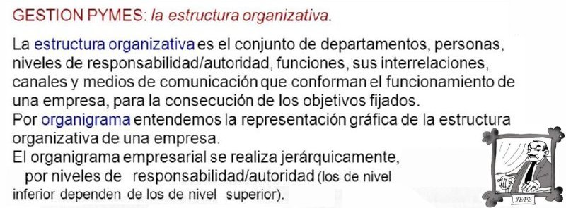 05 ESTRUCTURA ORGANIZATIVA