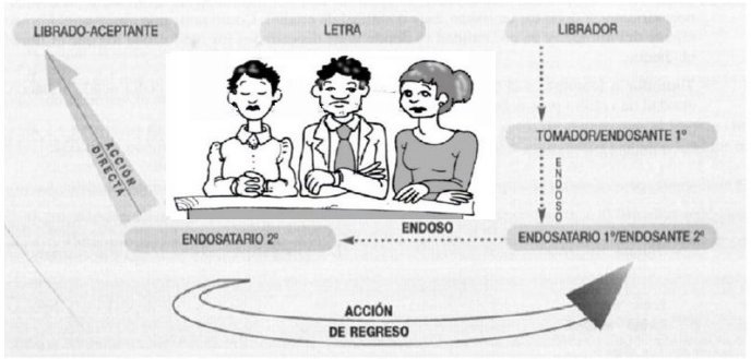 DIAPOSITIVA30.jpg (34427 bytes)