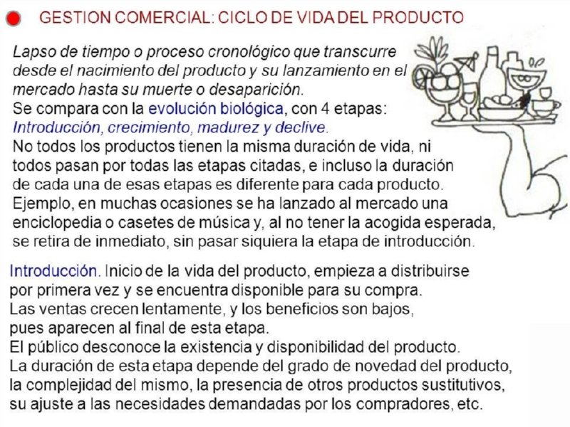 12 ciclo vida producto