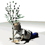 gardene