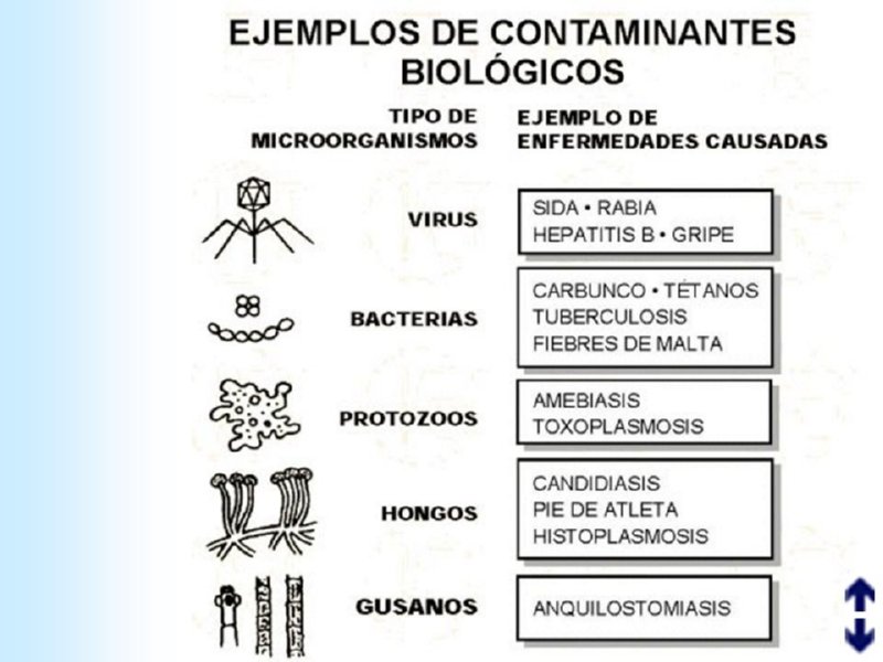 Diapositiva02