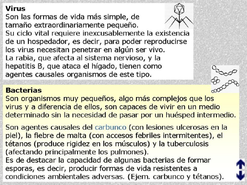 Diapositiva03