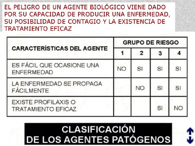 Diapositiva11