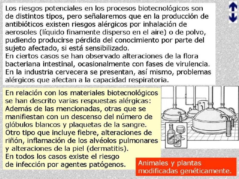 Diapositiva14