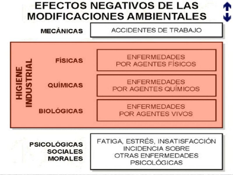 Diapositiva04