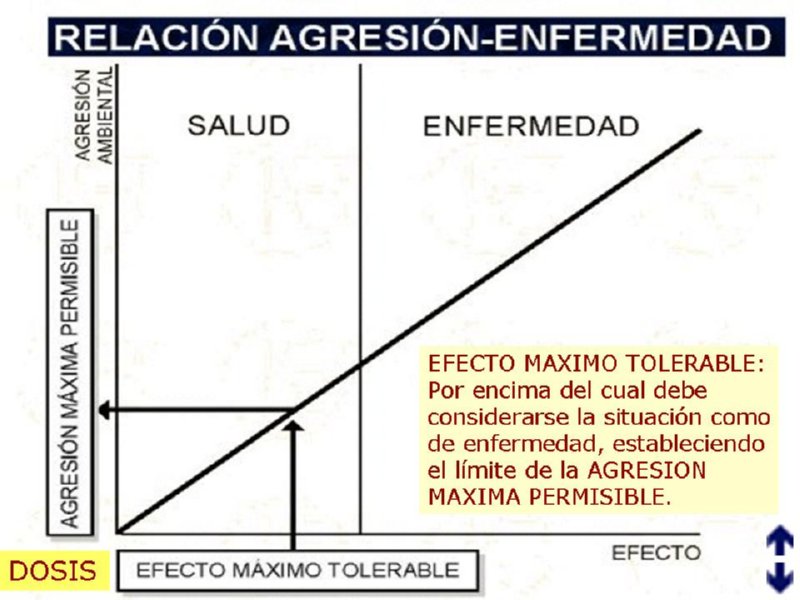 Diapositiva10