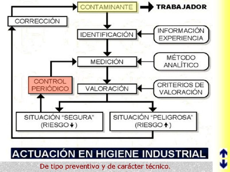 Diapositiva12