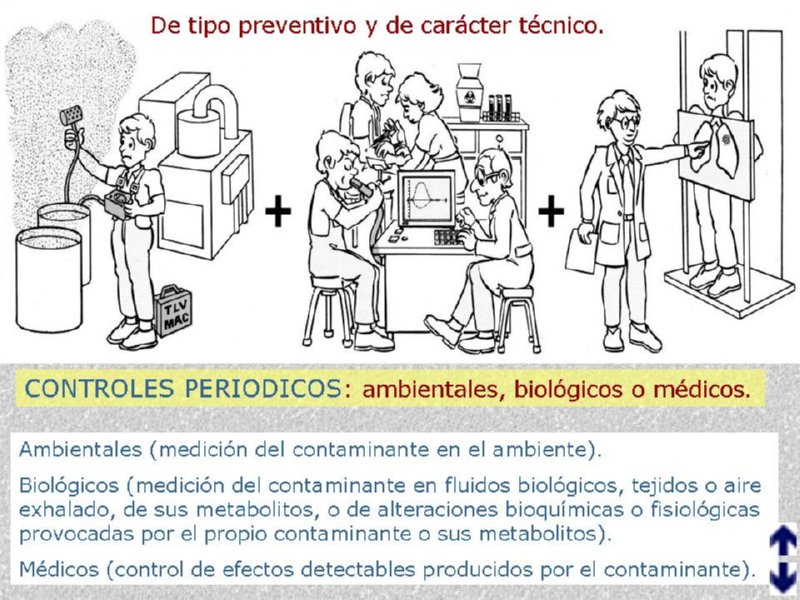 Diapositiva13