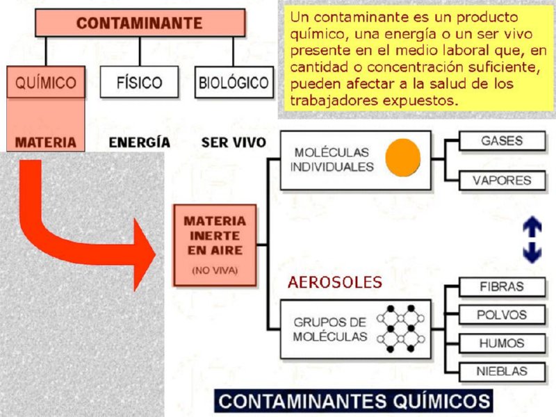 Diapositiva14