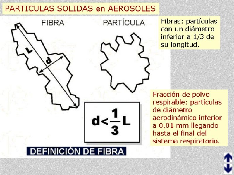 Diapositiva16