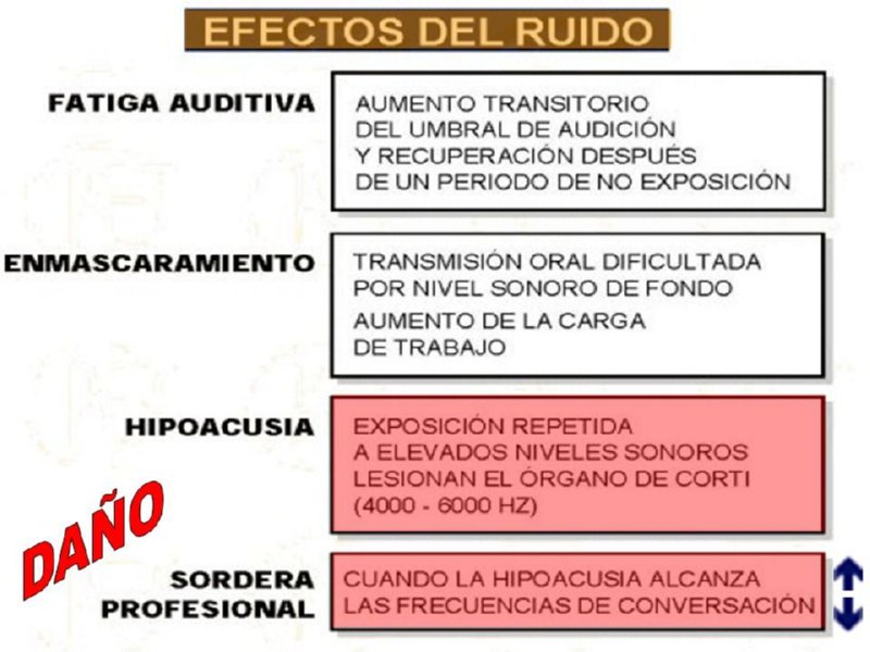 Diapositiva19