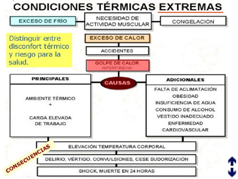 Diapositiva21