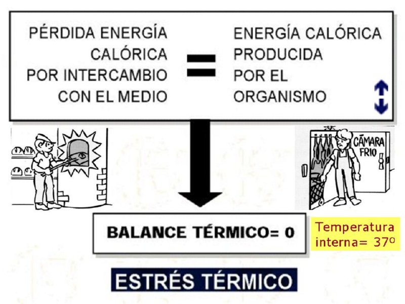 Diapositiva24