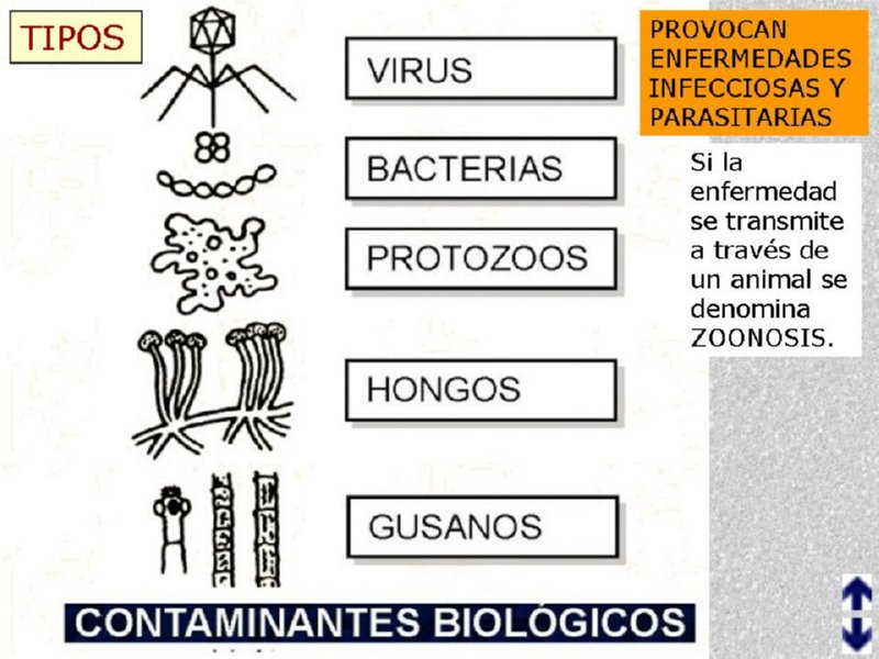 Diapositiva31