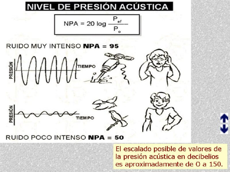 Diapositiva06