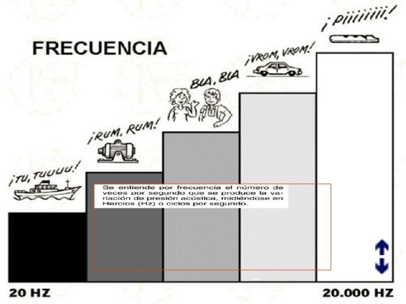 Diapositiva11