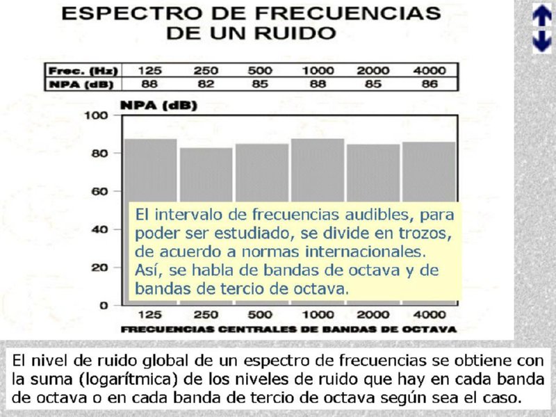 Diapositiva13