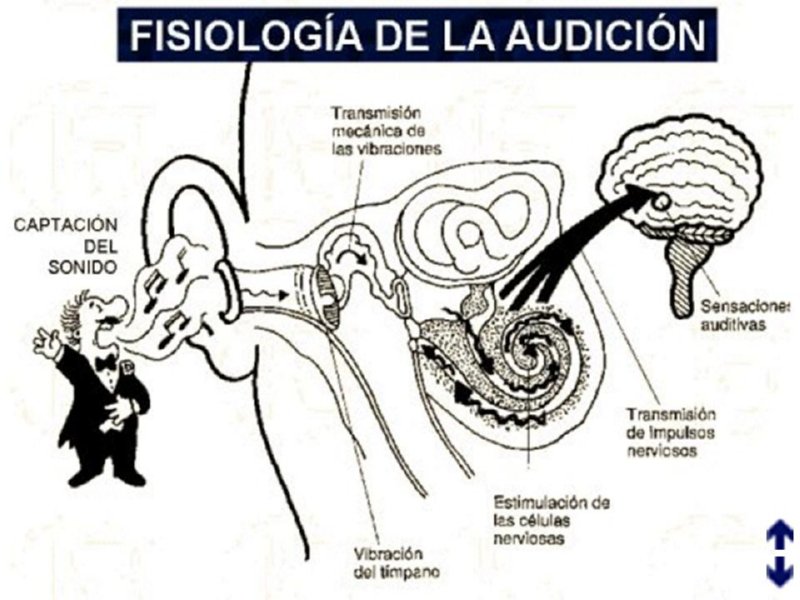 Diapositiva45