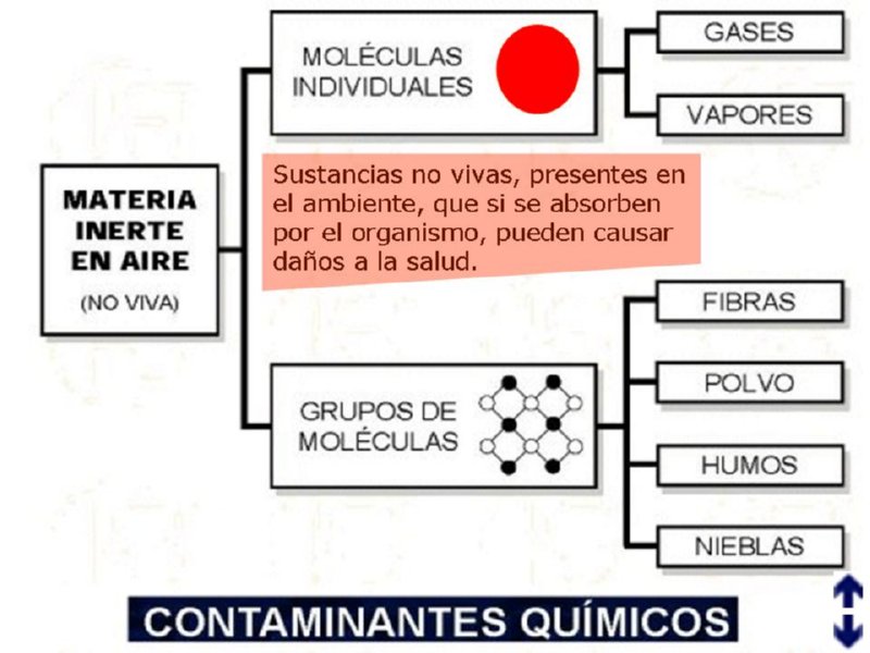 Diapositiva01