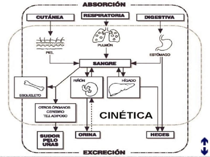 Diapositiva05