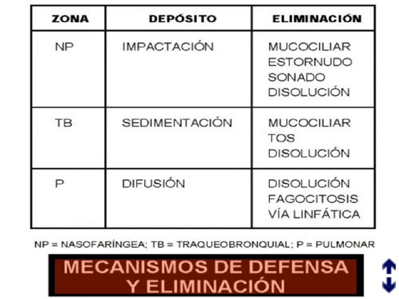 Diapositiva10