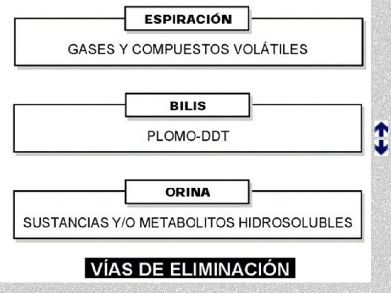 Diapositiva14