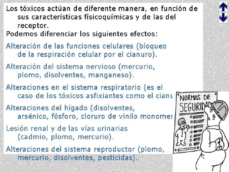 Diapositiva17