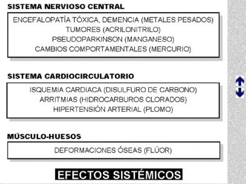 Diapositiva18