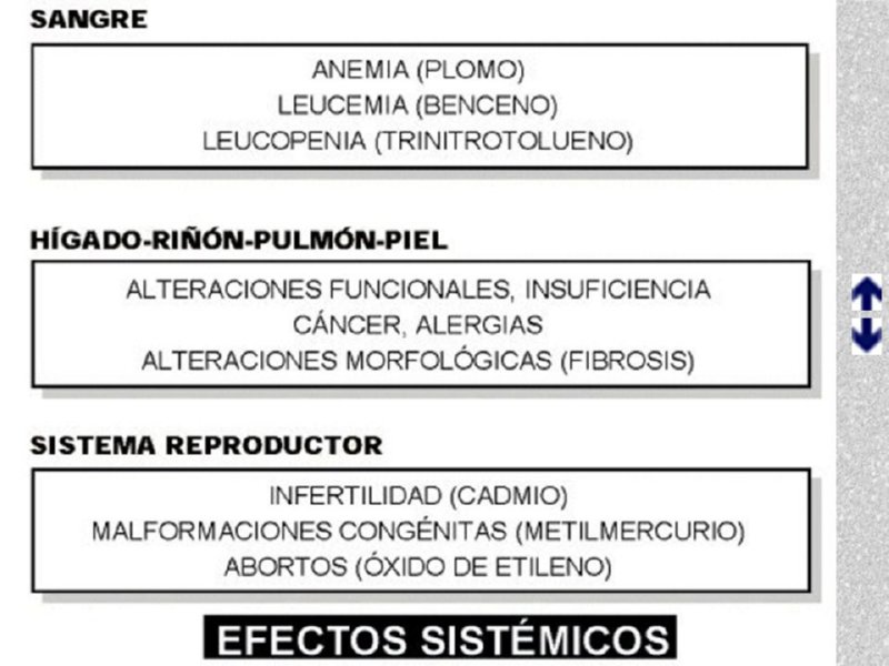 Diapositiva19