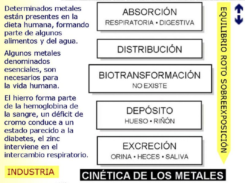 Diapositiva24